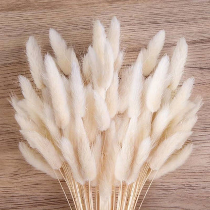 Dried White Bunny Tails Bunch Of 60