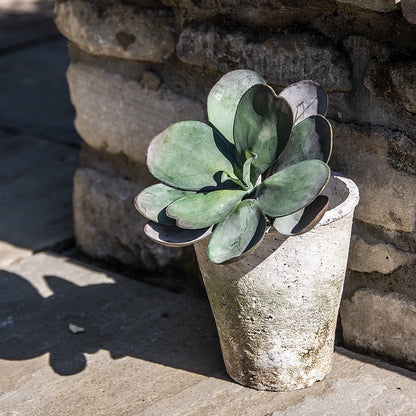 Antiqued Whitestone Rose Pots