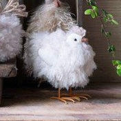 Fluffy Hen