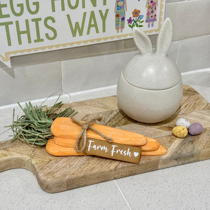 Wooden Farm Fresh Carrots | Set of 3